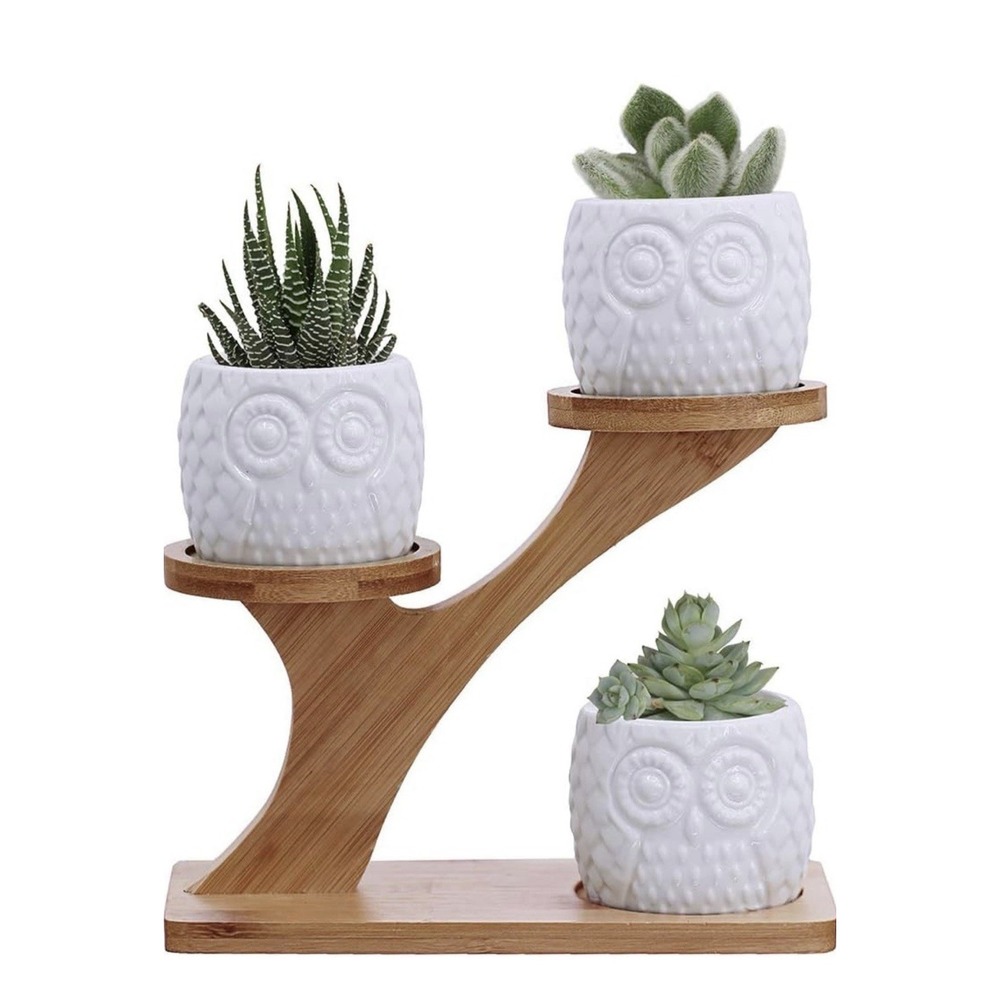 3pcs White Owl Succulent Pots with 3 Tier Bamboo Saucers Stand Holder Cacti Herb